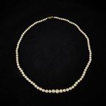 1477 6094 PEARL NECKLACE
